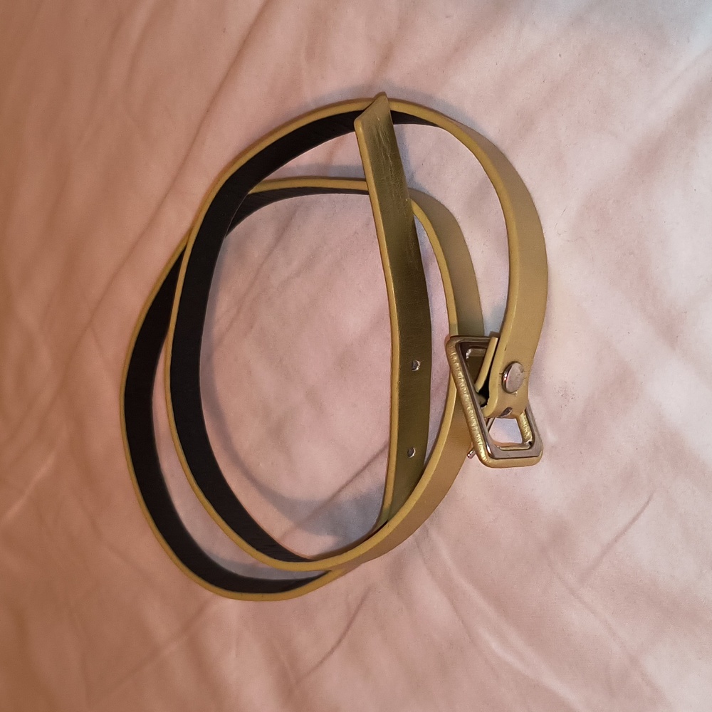 Metallic gold skinny belt